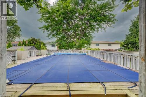 451 Burnett Avenue, Cambridge, ON - Outdoor With In Ground Pool