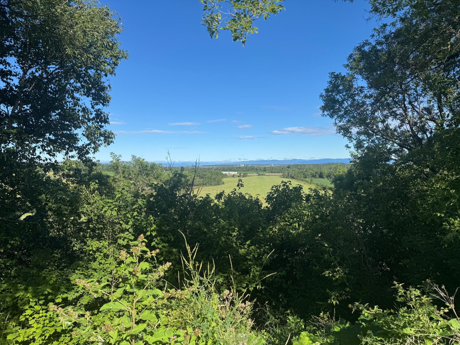 View - 157 - 159 Route 230 O., Saint-Pascal, QC - Outdoor With View