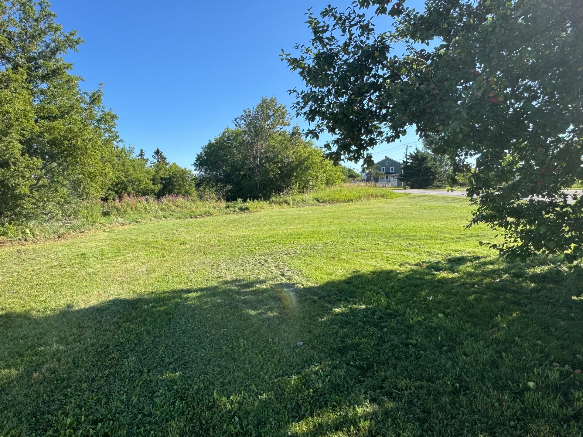 Lot - 157 - 159 Route 230 O., Saint-Pascal, QC - Outdoor With View