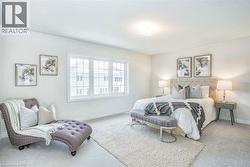 Wall-to-wall carpeting and a large multi-pane window -
