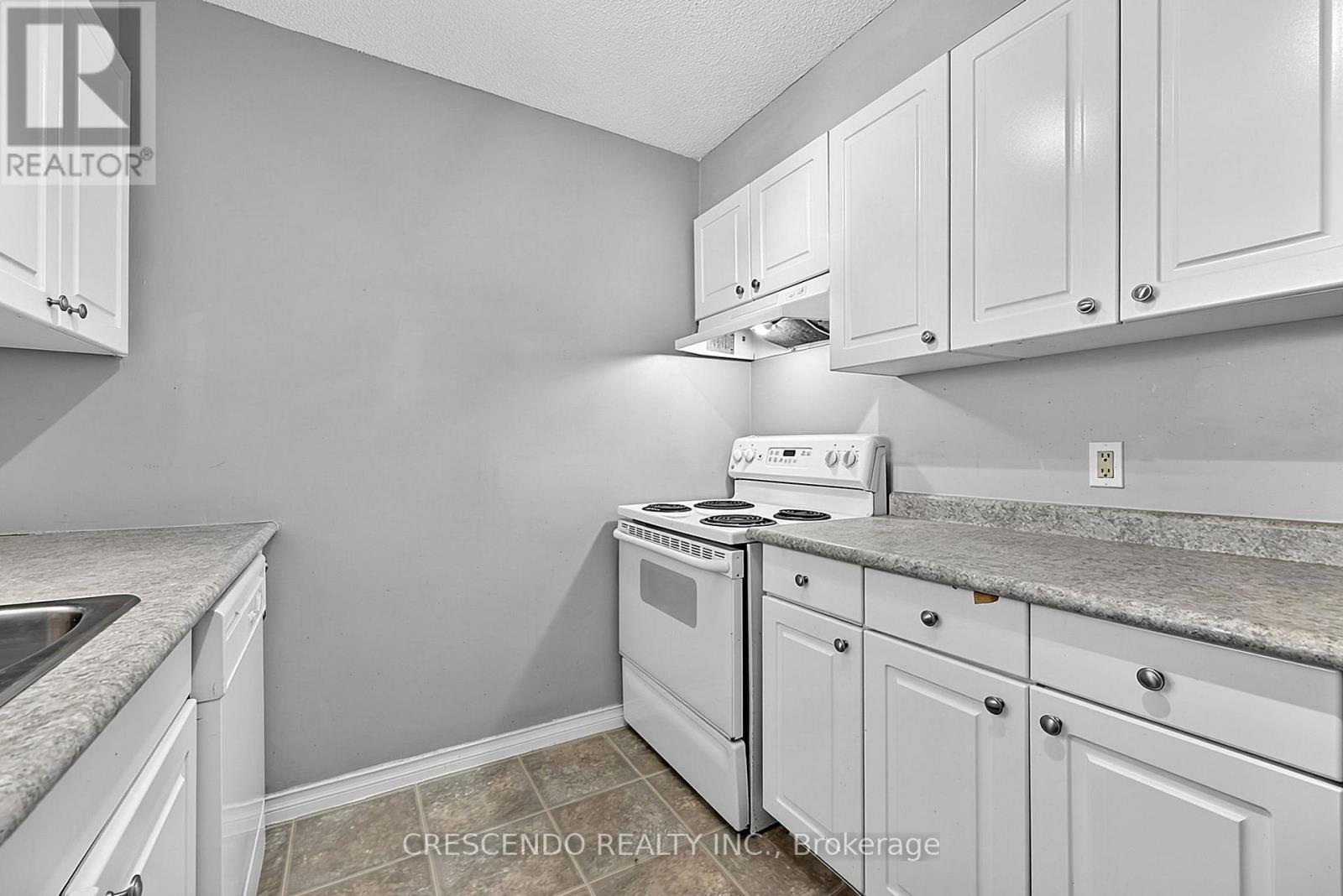 201 - 100 Millside Drive, Milton, ON - Indoor Photo Showing Kitchen