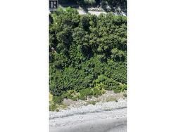 13717 TOW HILL ROAD Masset, BC V0T 1M0