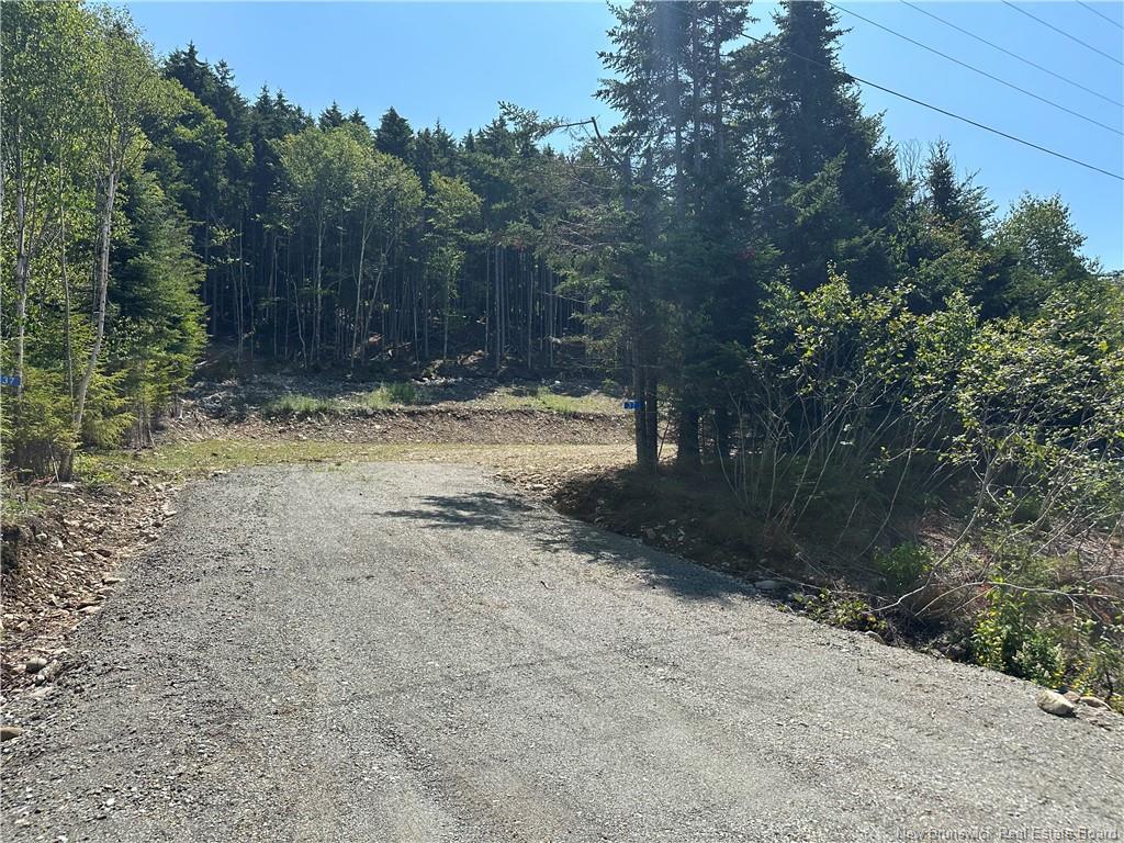 37 Forest Dr, Alma, NB - Outdoor With View