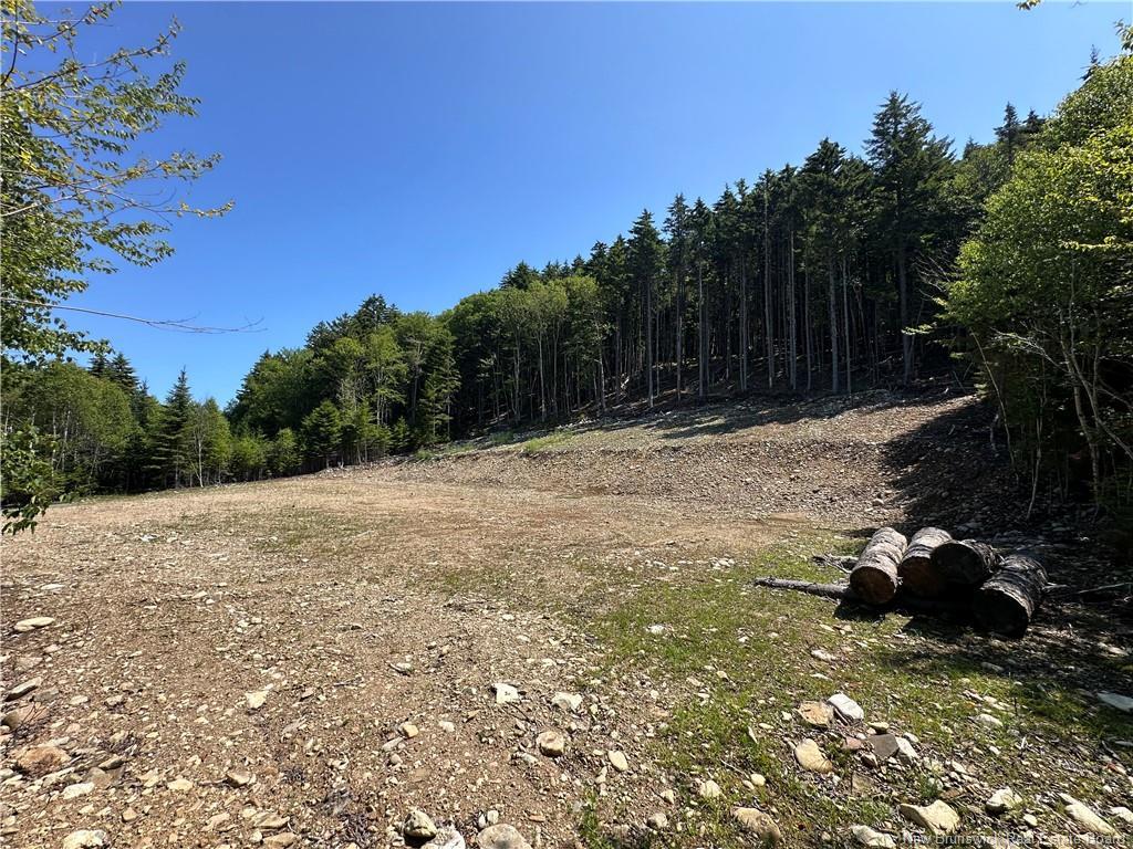 37 Forest Dr, Alma, NB - Outdoor With View