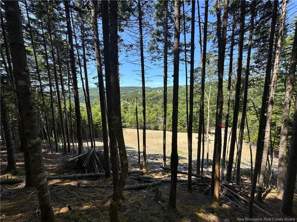 37 Forest Dr, Alma, NB - Outdoor With View