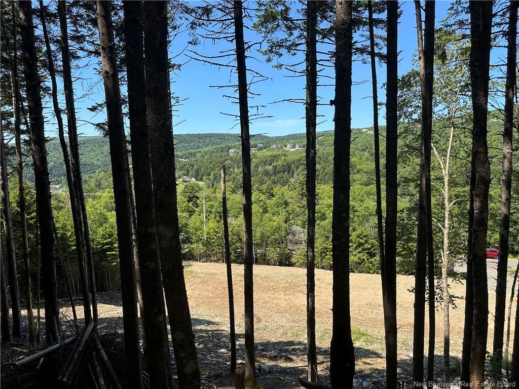 37 Forest Dr, Alma, NB - Outdoor With View