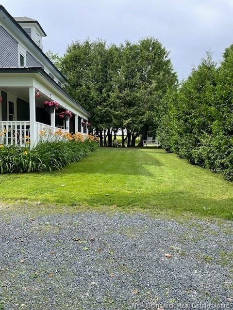 350 Debec Rd, Debec, NB - Outdoor With Deck Patio Veranda
