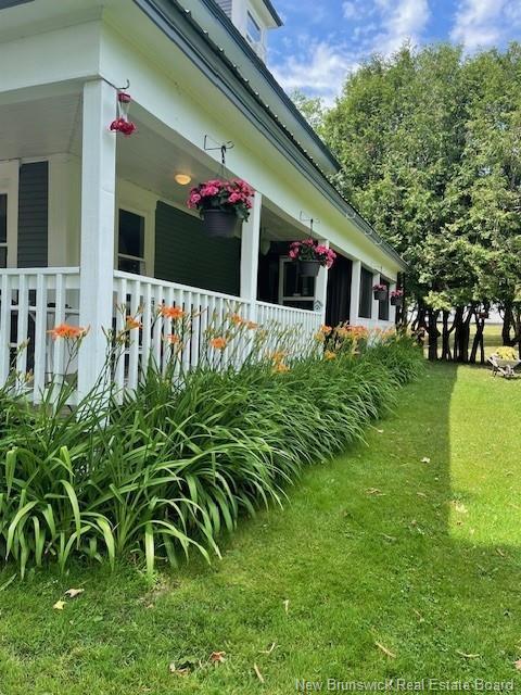 350 Debec Rd, Debec, NB - Outdoor With Deck Patio Veranda
