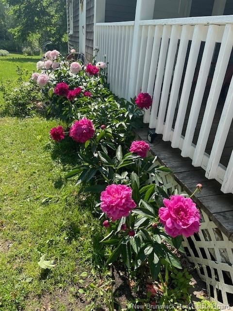 350 Debec Rd, Debec, NB - Outdoor