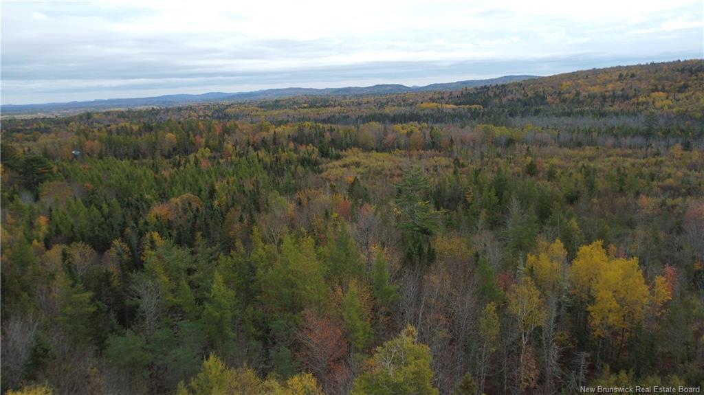 339 Mcminn Rd, Rollingdam, NB