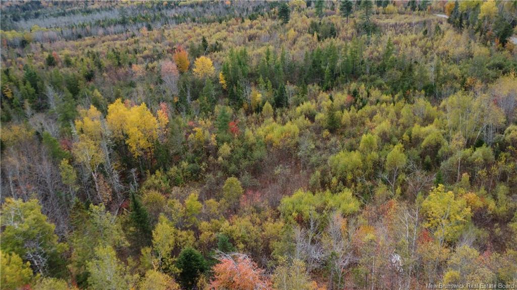 339 Mcminn Rd, Rollingdam, NB