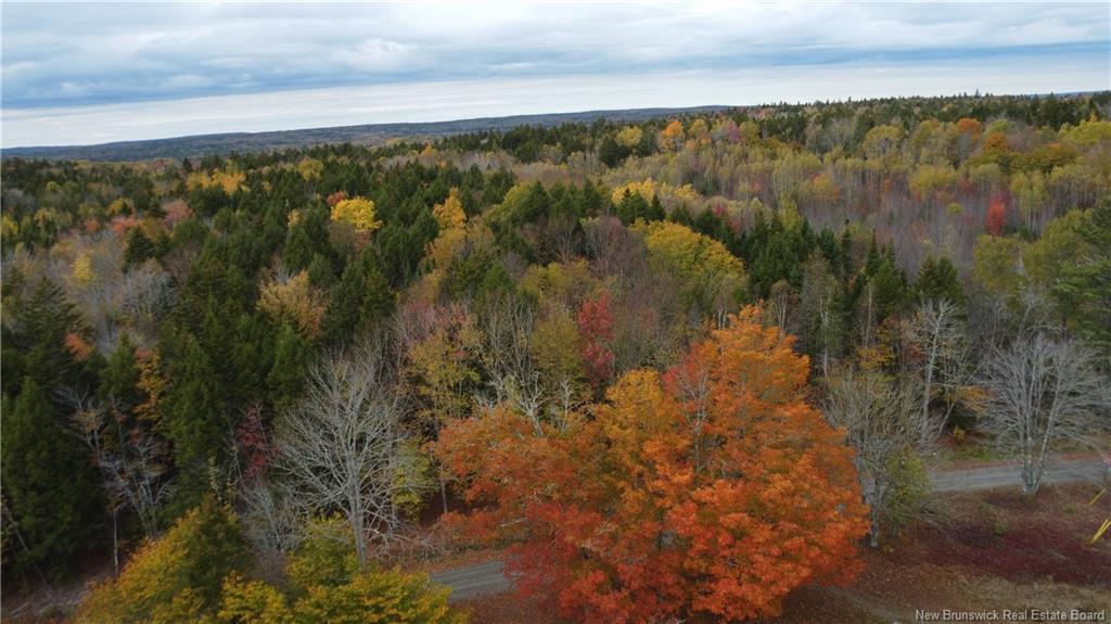 339 Mcminn Rd, Rollingdam, NB
