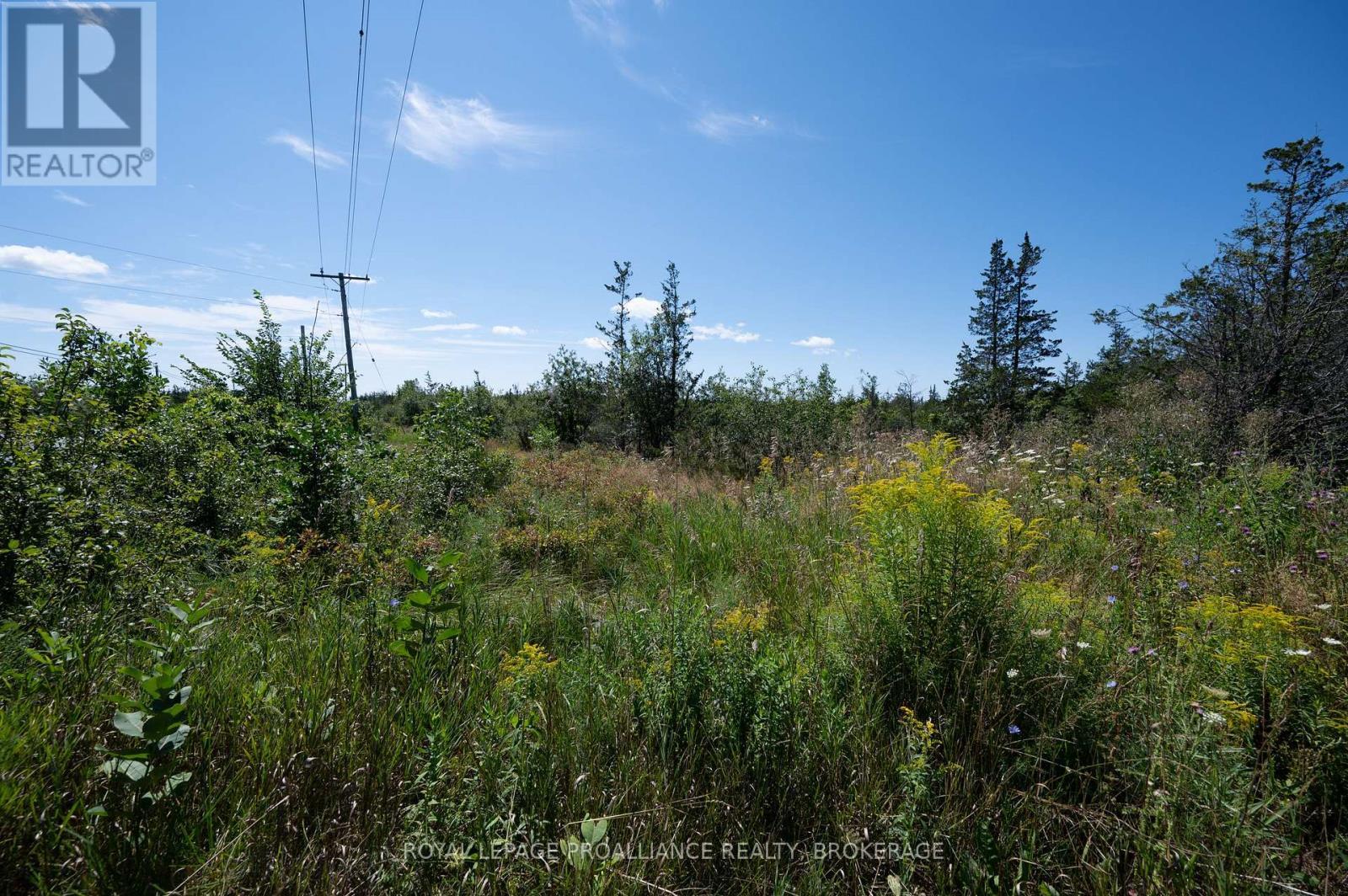 1707 County Road 2, Prince Edward County (Hillier Ward), ON