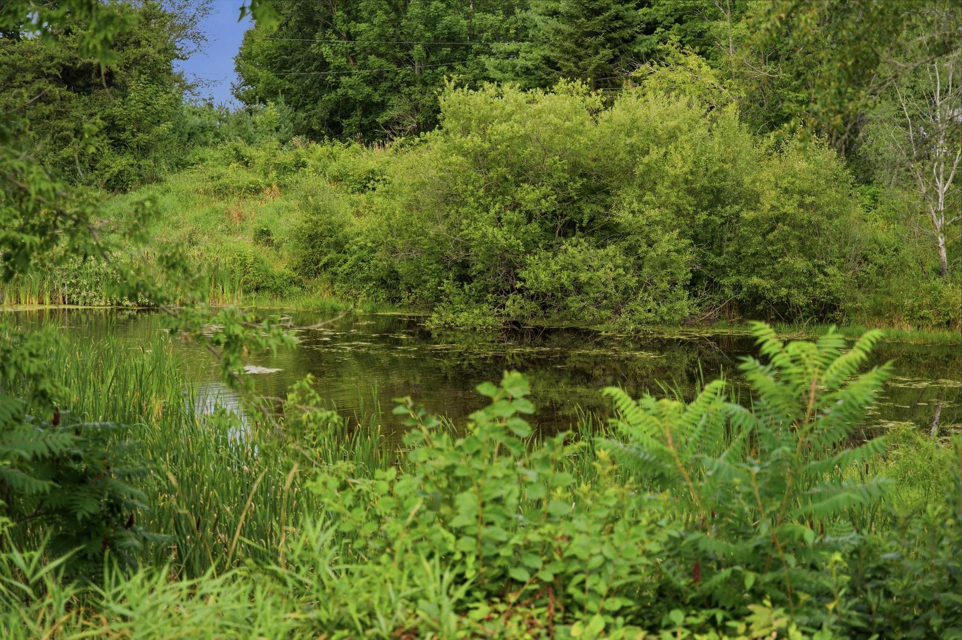 117 Dill Road, Currys Corner, NS - Outdoor