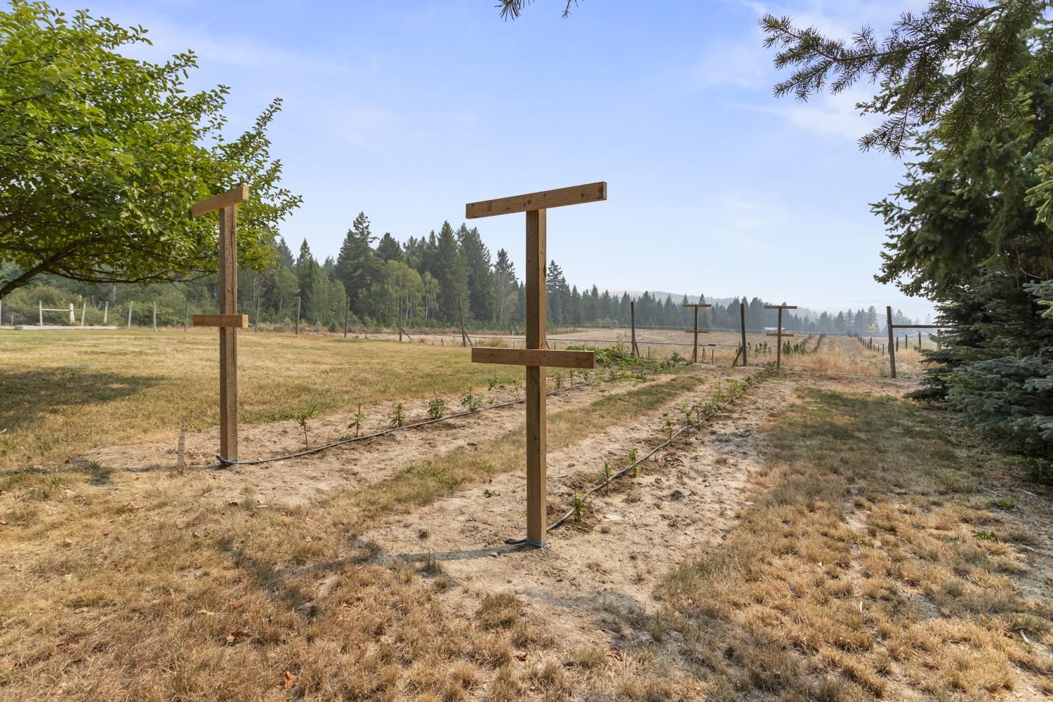 1889 7Th Street, Lister, BC - Outdoor With View