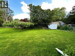 Expansive lawn with mature trees and a white storage shed - 
