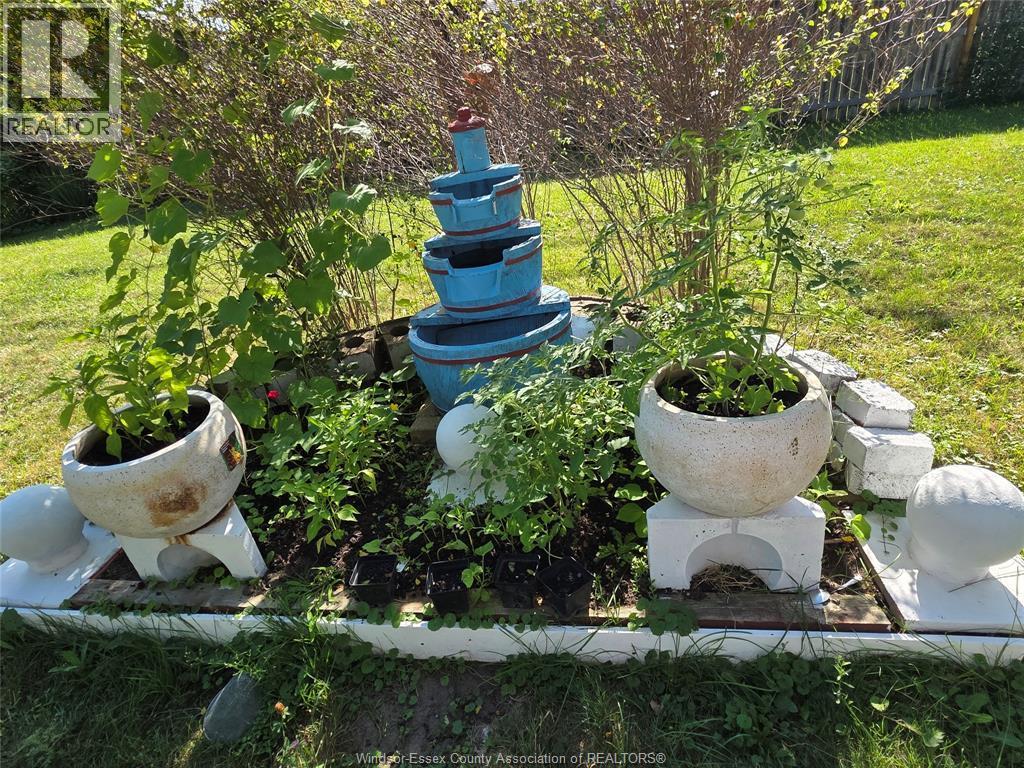 3767 Turner, Windsor, ON - Outdoor