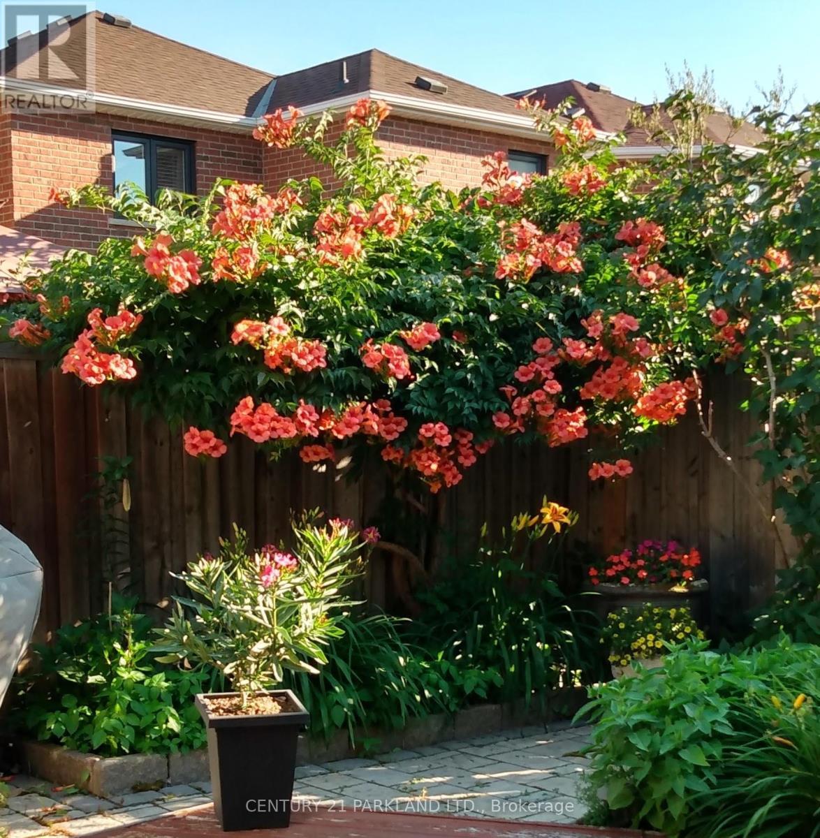 181 Purcell Crescent, Vaughan, ON - Outdoor