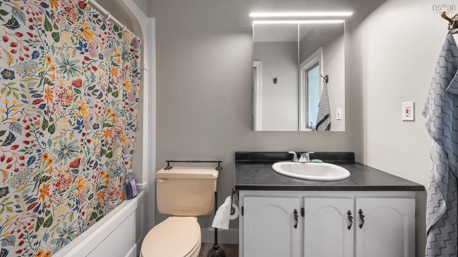 47 Forest Road, Dartmouth, NS - Indoor Photo Showing Bathroom