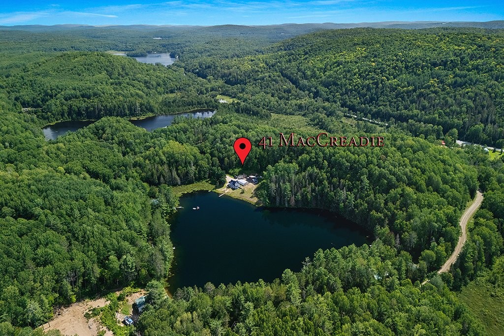 Aerial View - 41 Ch. Maccreadie, Otter Lake, QC - Outdoor With View