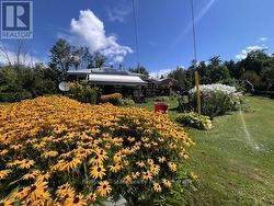 2 ALEXANDER AVENUE Kawartha Lakes (Fenelon), ON K0M 1L0
