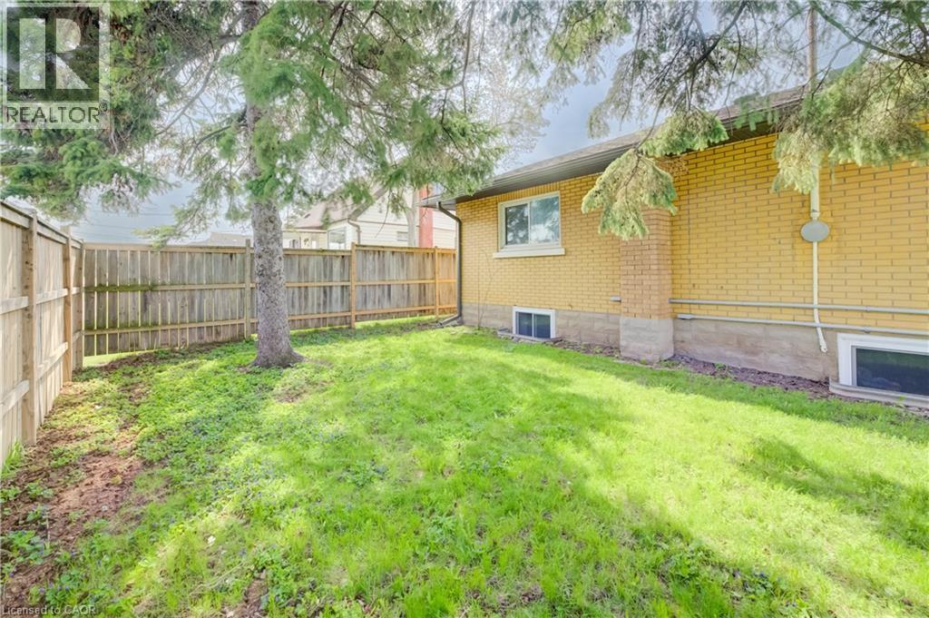 Fenced backyard featuring a mature tree, a manicured lawn, and a light-colored brick exterior - 361 Prospect Avenue, Kitchener, ON - Outdoor