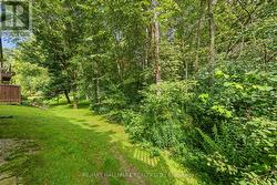 Stunning Ravine Views-Complete Privacy! - 