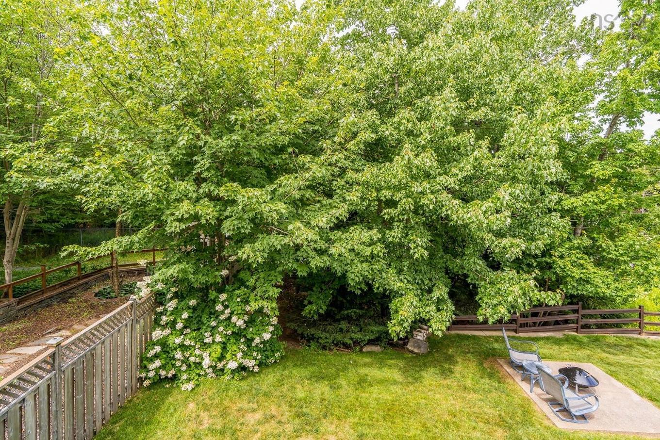 38 Coldstream Run, Dartmouth, NS - Outdoor