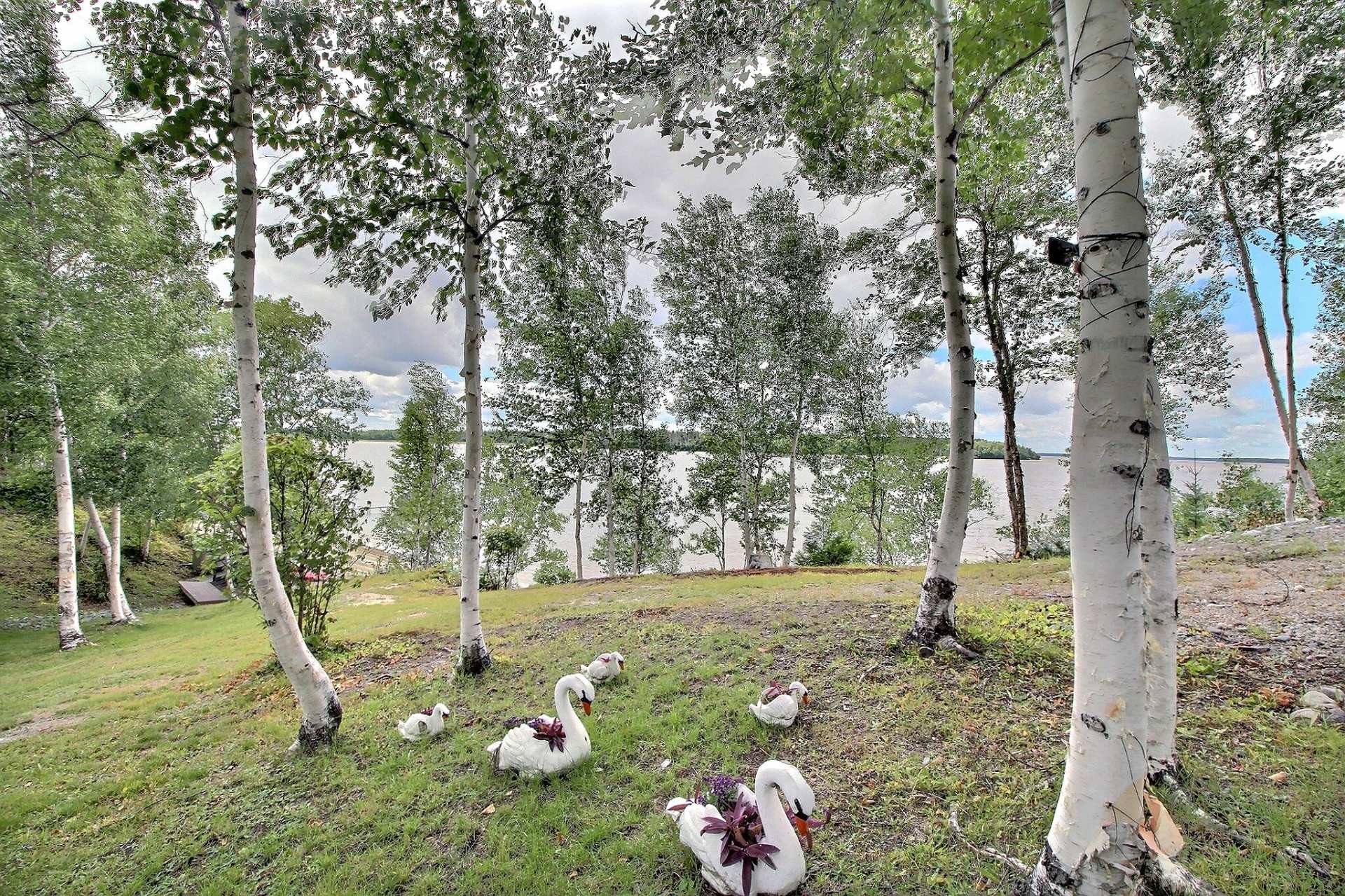 Lot - 7 Ch. Proulx, Val-D'Or, QC - Outdoor With View