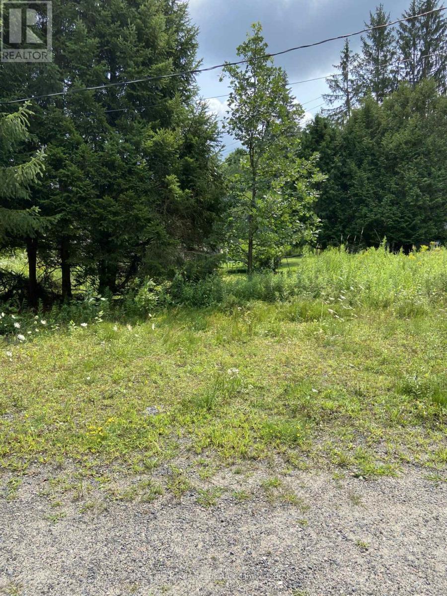 21 Ferndale Road, Muskoka Lakes (Medora), ON - Outdoor