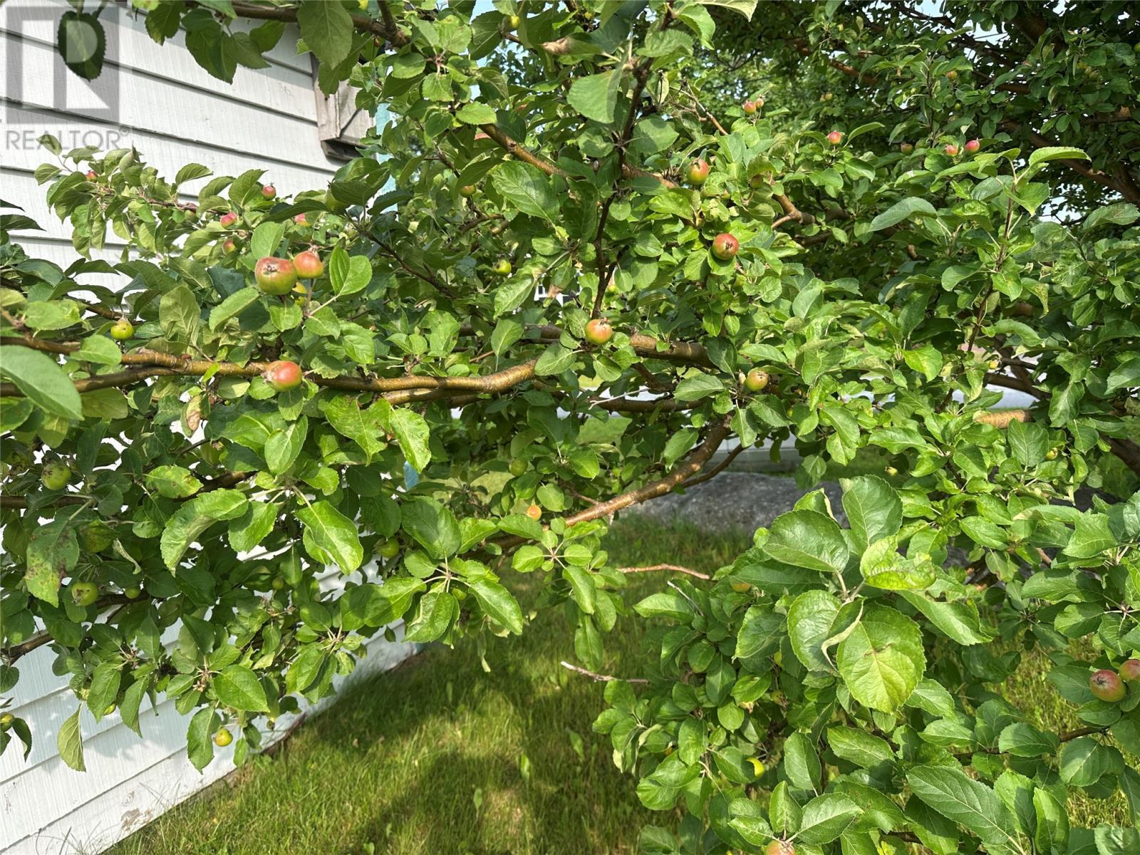 32 Marsh Road, Hants Harbour, NL - Outdoor