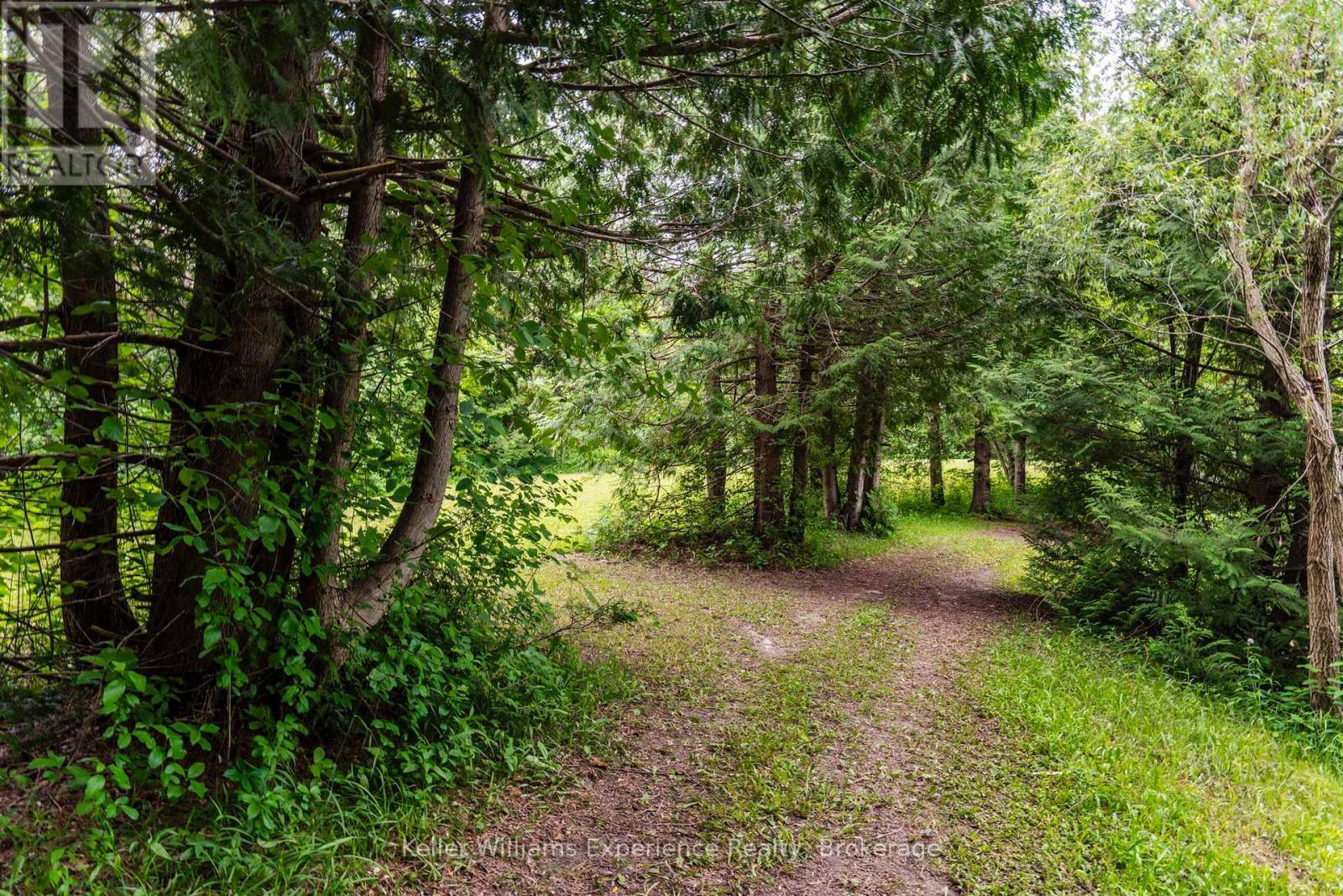 3744 Flos 4 Road W, Springwater, ON - Outdoor