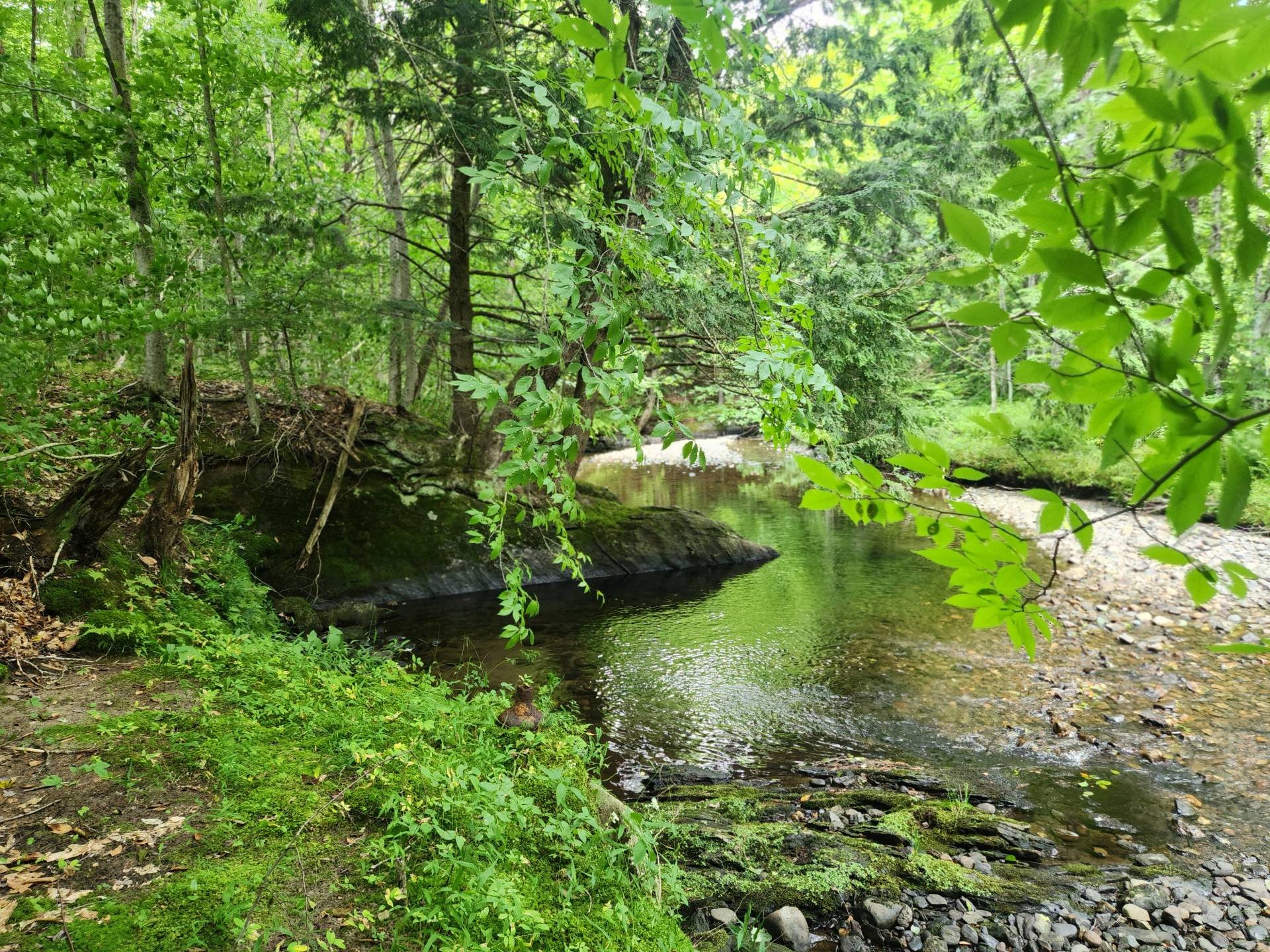 Bord de l'eau - Ch. Rosenberry, Sutton, QC