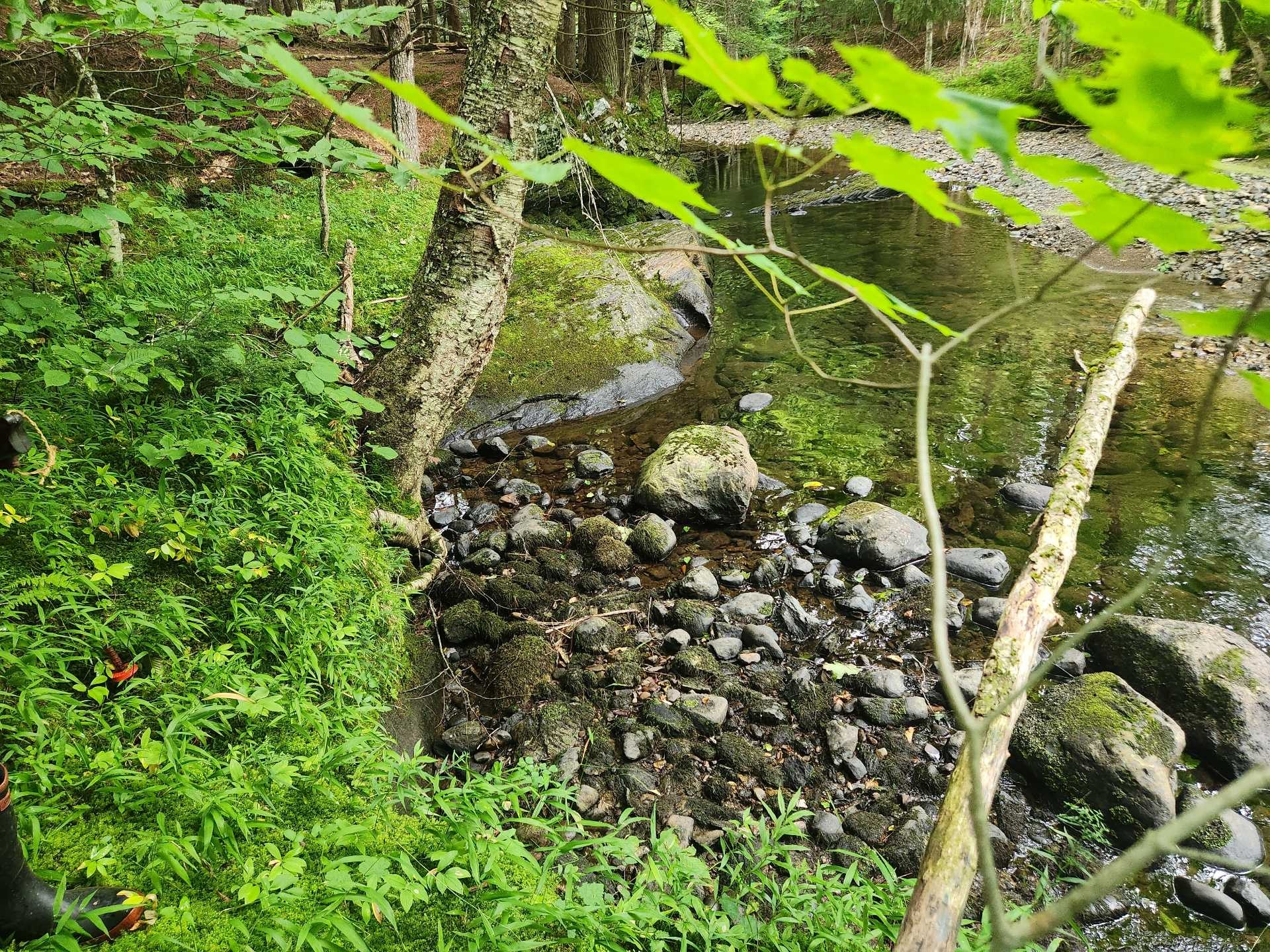 Bord de l'eau - Ch. Rosenberry, Sutton, QC