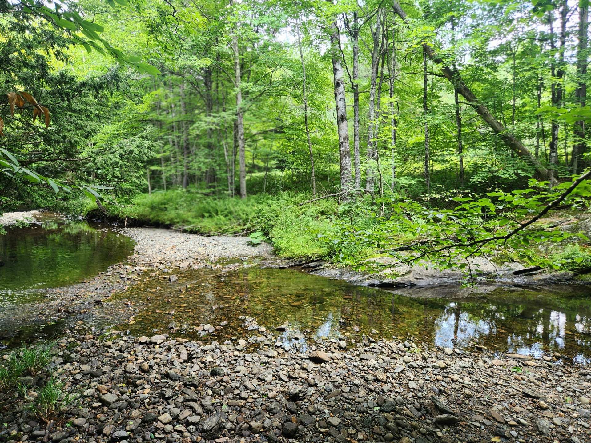 Bord de l'eau - Ch. Rosenberry, Sutton, QC
