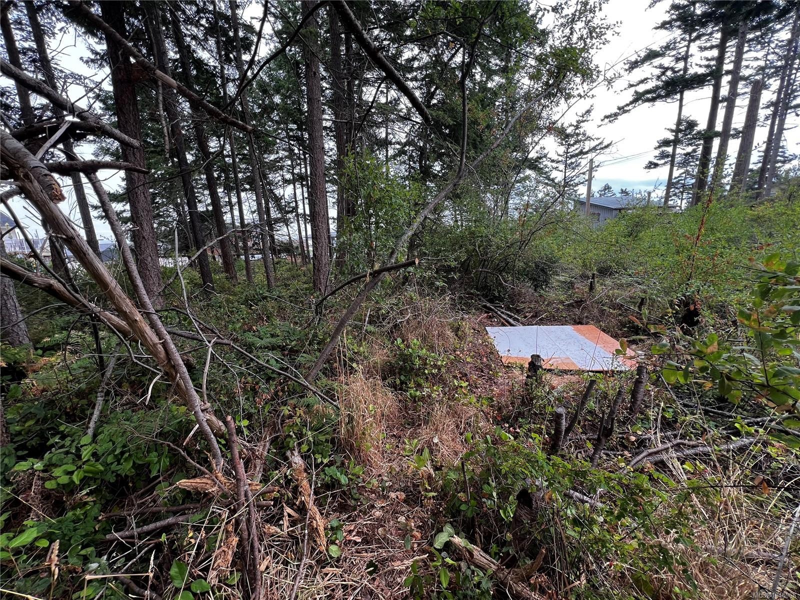 Lot 27 Walter Rd, Comox, BC