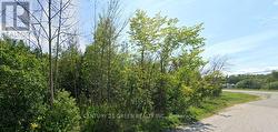 9618 BEACHWOOD ROAD Collingwood, ON L9Y 3Z1
