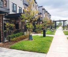 Landscaped Walkways - 
