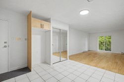 Vue - 