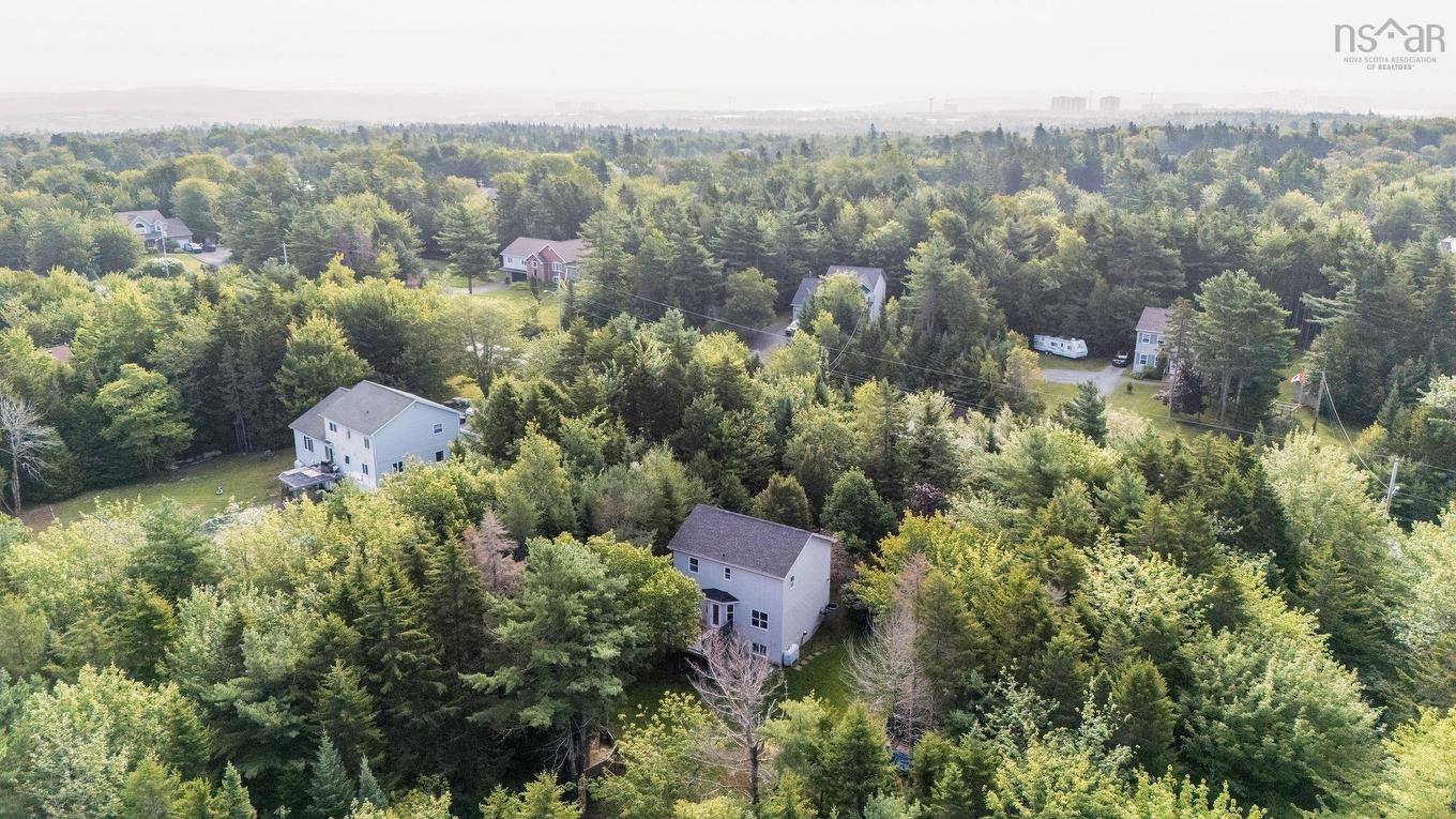 68 Seth Aaron Drive, Halifax, NS - Outdoor With View
