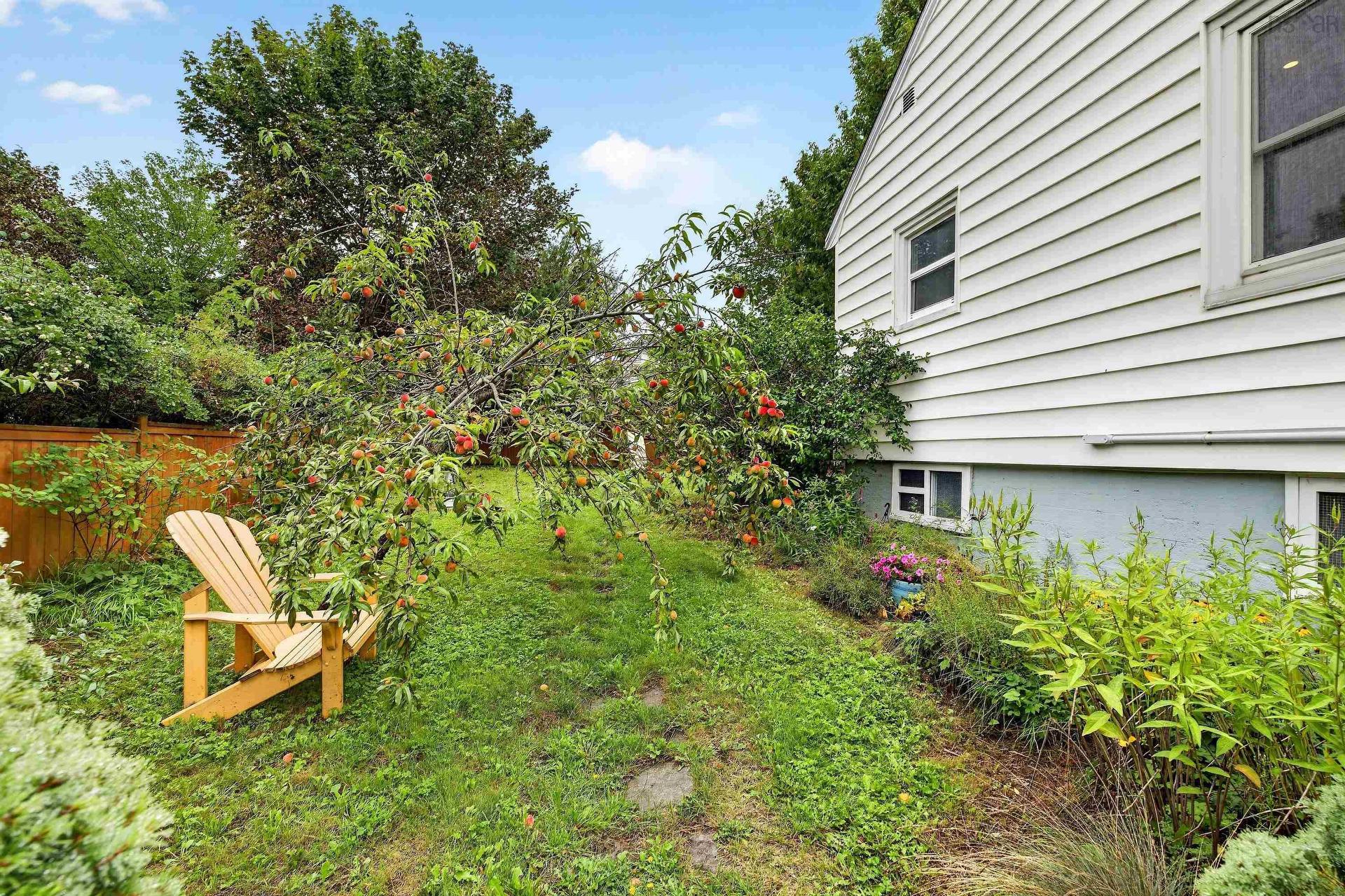 1 Piers Avenue, Fairmount, NS - Outdoor