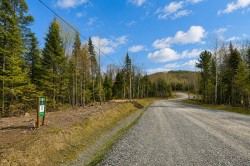 Street -