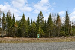 Street -