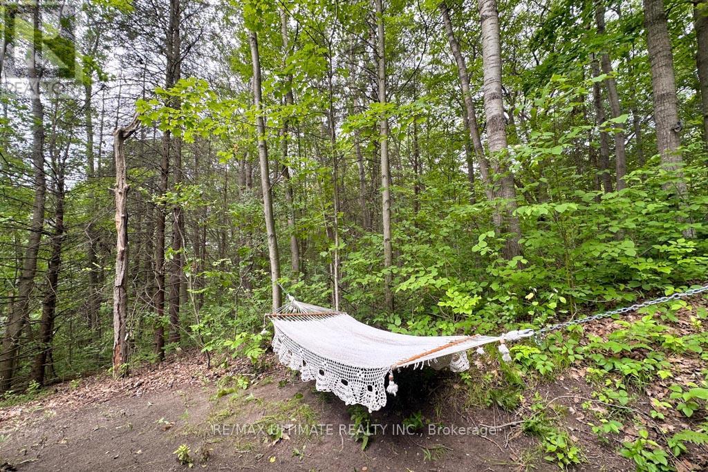 63 Sumac Lane, Scugog, ON - Outdoor