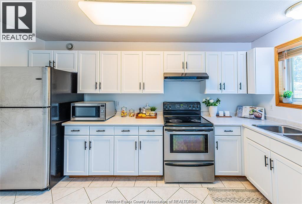 120 Hampton Crescent, Windsor, ON - Indoor Photo Showing Kitchen With Double Sink