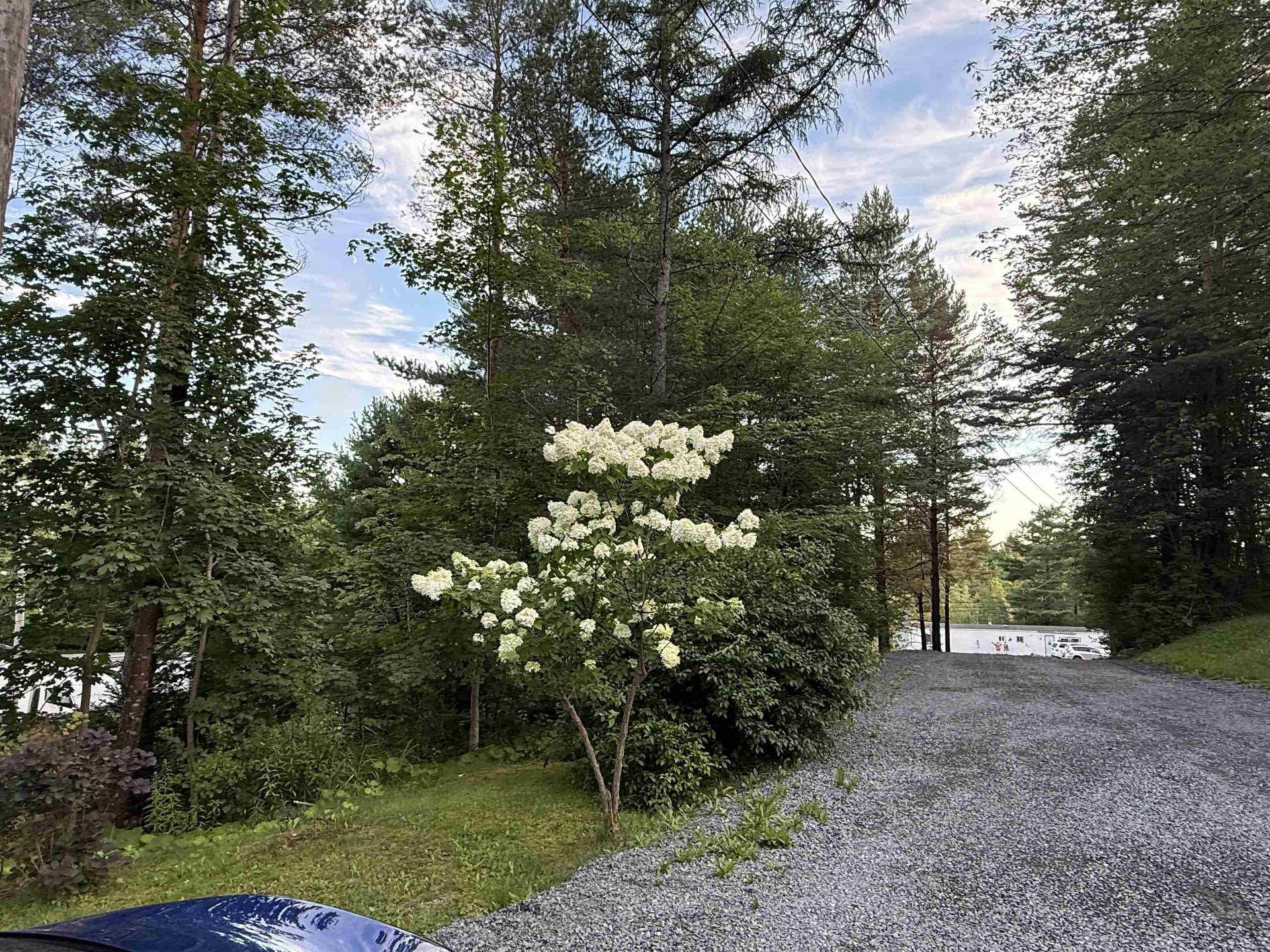 7101 Highway 14, Nine Mile River, NS - Outdoor