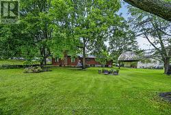 Back yard - 