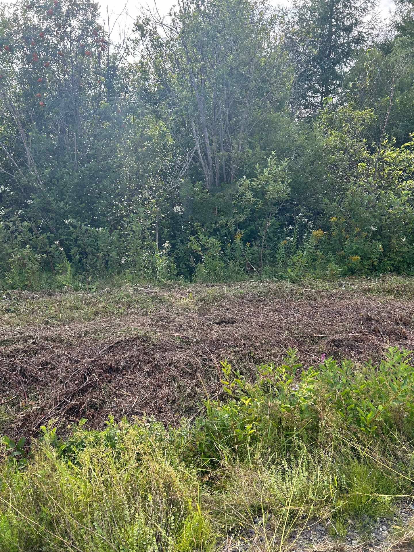 Lot - Route De St-Jogues, Paspébiac, QC
