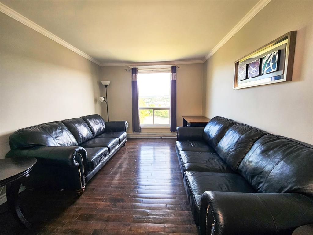 304-78 Thorburn Road, St. John'S, NL - Indoor Photo Showing Living Room