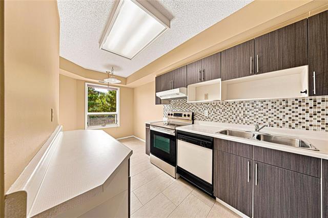 306-1840 Henderson Hwy, Winnipeg, MB - Indoor Photo Showing Kitchen With Double Sink With Upgraded Kitchen